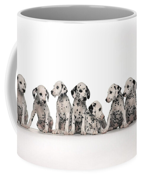 Dalmatian Coffee Mug featuring the photograph Dalmatian by Jackie Russo