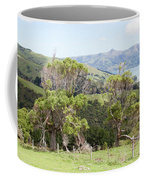 Trees Coffee Mug featuring the photograph Damaged Nature by Ramunas Bruzas