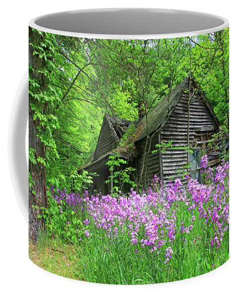 Dames Rocket Coffee Mug featuring the photograph Dame's Rocket by Dale R Carlson