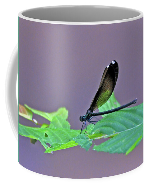 Nature Coffee Mug featuring the photograph Damselfly by Kay Lovingood