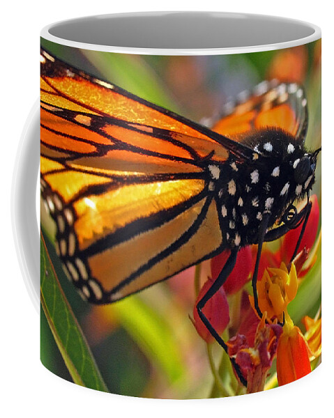 Insects Coffee Mug featuring the photograph Danaus Plexippus by Juergen Roth