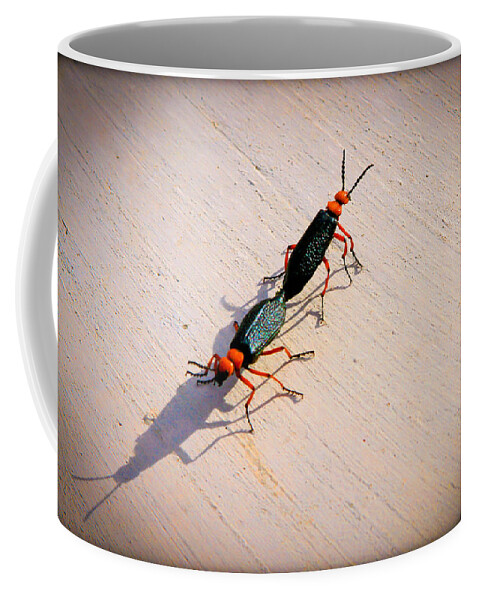 Bonnie Follett Coffee Mug featuring the photograph Dance of the Desert Blister Beetles by Bonnie Follett