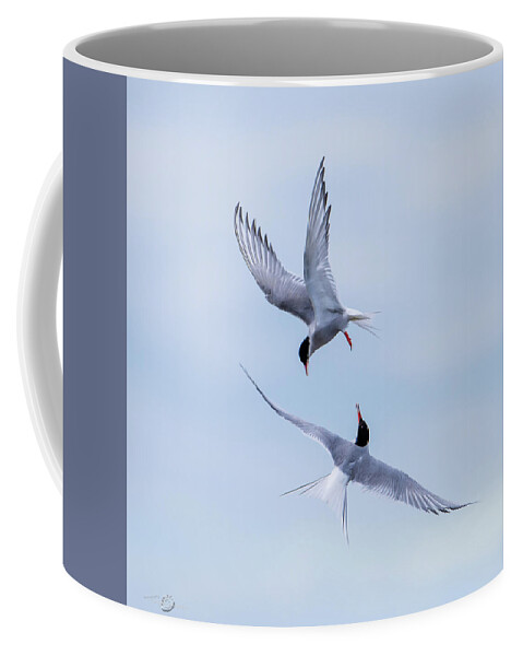 Dancing Arctic Terns Coffee Mug featuring the photograph Dancing Arctic Terns by Torbjorn Swenelius
