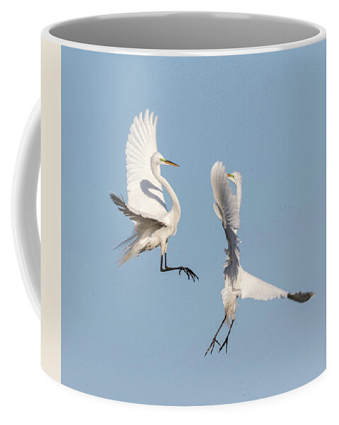 Great Egrets Coffee Mug featuring the photograph Dancing Egrets 2017-2 by Thomas Young
