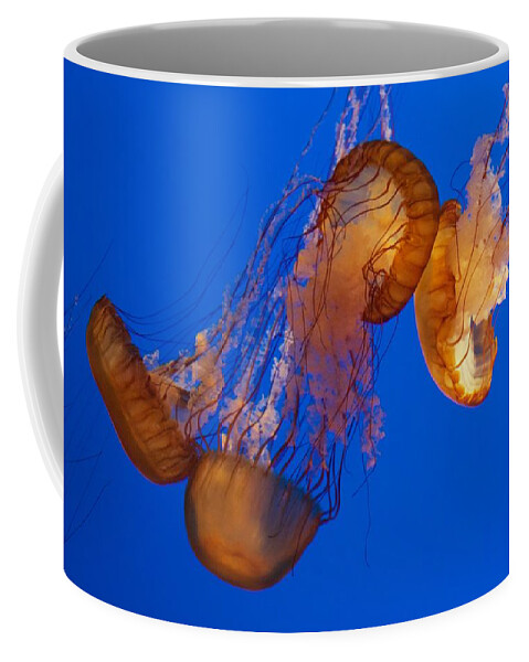 Chrysaora Fuscescens Coffee Mug featuring the photograph Dancing Sea Nettles by Venetia Featherstone-Witty