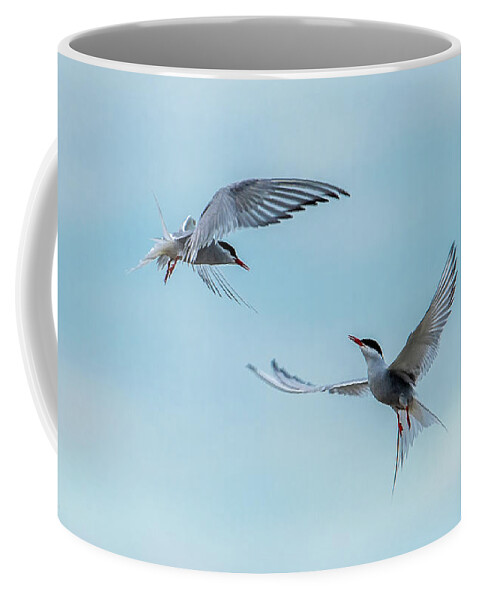 Flying Common Terns Coffee Mug featuring the photograph Dancing Terns by Torbjorn Swenelius
