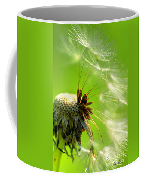 Dandelion Coffee Mug featuring the photograph Dandelion by Alana Ranney