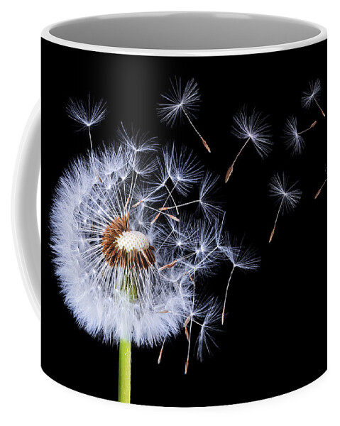 Abstract Coffee Mug featuring the photograph Dandelion blowing on black background by Bess Hamiti