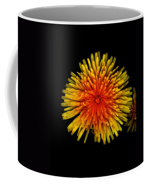 Dandelion Coffee Mug featuring the photograph Dandelion Contrast by Dylan Punke