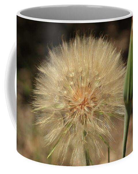 Dandelion Coffee Mug featuring the photograph Dandelion by David Diaz