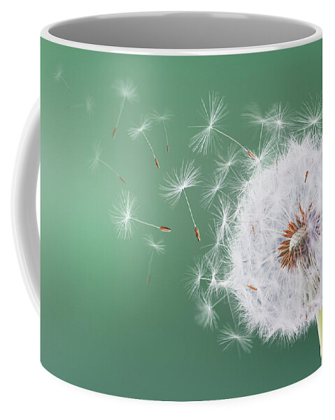 Abstract Coffee Mug featuring the photograph Dandelion flying on green background by Bess Hamiti