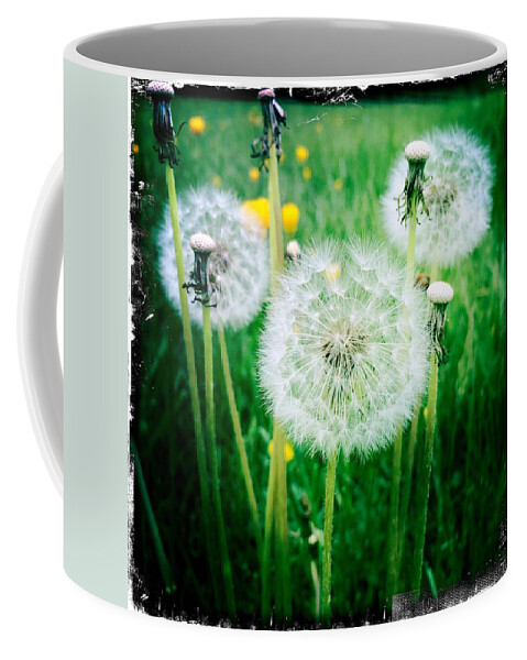 Dandelion Coffee Mug featuring the digital art Dandelion Glory by Kevyn Bashore