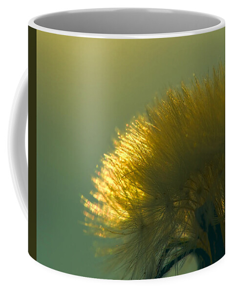 Dandelion Coffee Mug featuring the photograph Dandelion in Green by Brad Boland