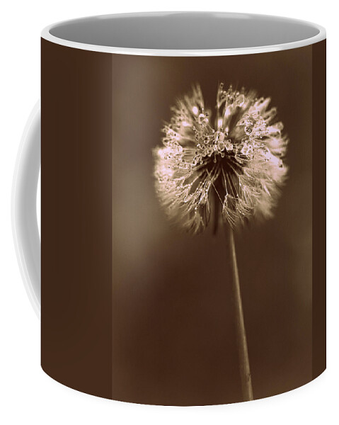 Dandelion Coffee Mug featuring the photograph Dandelion - Sepia by Joseph Skompski
