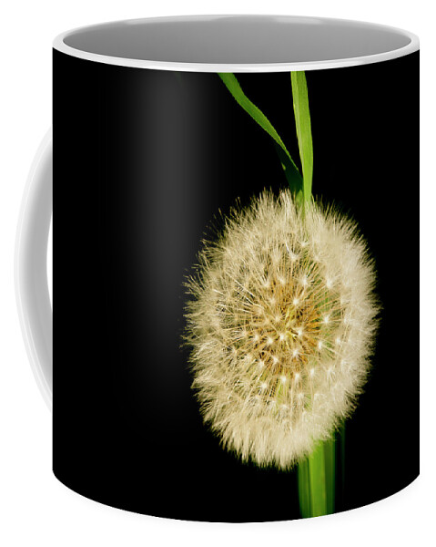 Floral Coffee Mug featuring the photograph Dandelion's seed head. by Elena Perelman