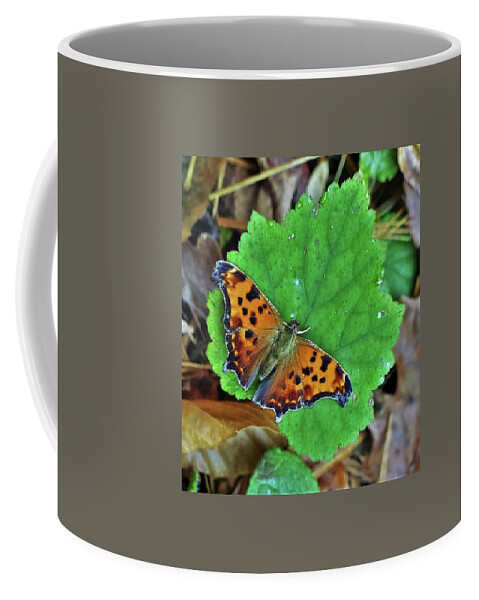 Butterfly Coffee Mug featuring the photograph Dangling Conversation by Gary Edward Jennings