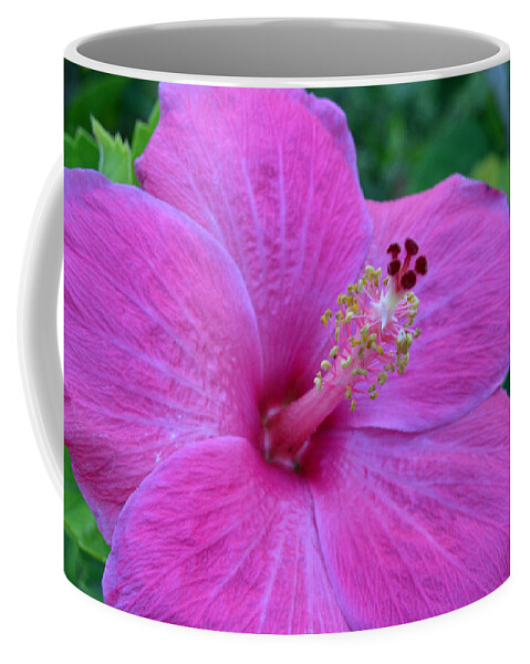 Flower Coffee Mug featuring the photograph Dark Pink Hibiscus by Amy Fose