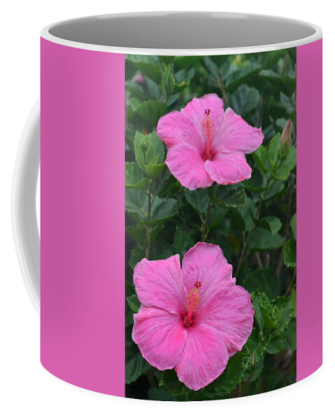 Flower Coffee Mug featuring the photograph Dark Pink Hibiscus Duo by Amy Fose
