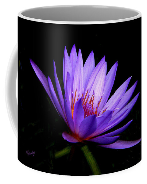 Water Lily Coffee Mug featuring the photograph Dark Side of the Purple Water Lily by Rosalie Scanlon