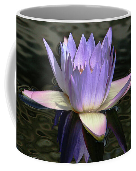 Water Lilies Coffee Mug featuring the photograph Dark Water Shimmering by Yvonne Wright