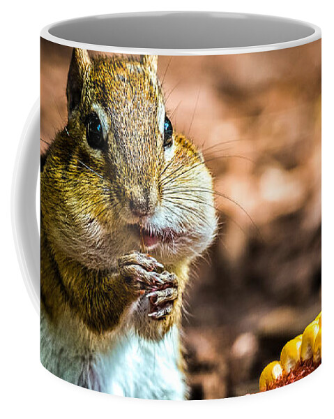 Chipmunk Coffee Mug featuring the photograph Darn Good Corn by Bob Orsillo