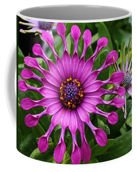 Flora Coffee Mug featuring the photograph Daisy of a Different Kind by Bruce Bley