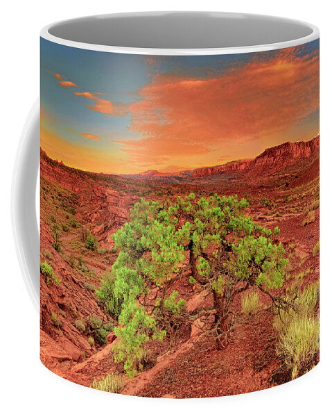 North America Coffee Mug featuring the photograph Dawn Light Capitol Reef National Park Utah by Dave Welling