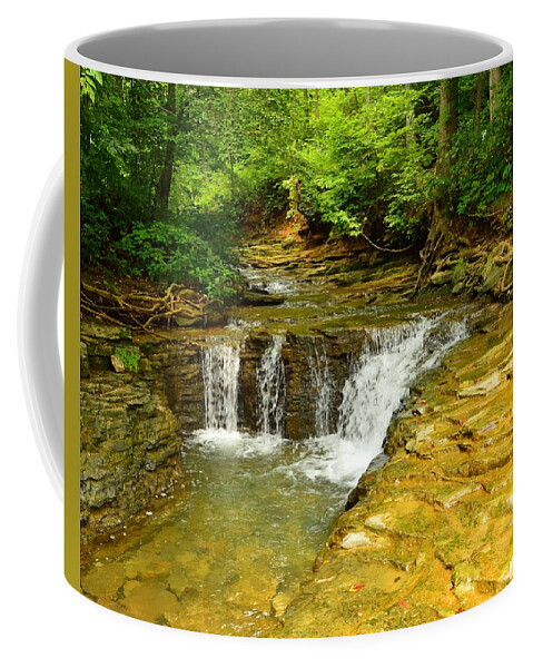 Saunder Springs Coffee Mug featuring the photograph Saunders Springs, Kentucky by Stacie Siemsen