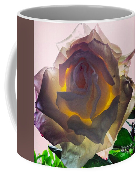 Rose Coffee Mug featuring the photograph Daybreak by Denise Railey