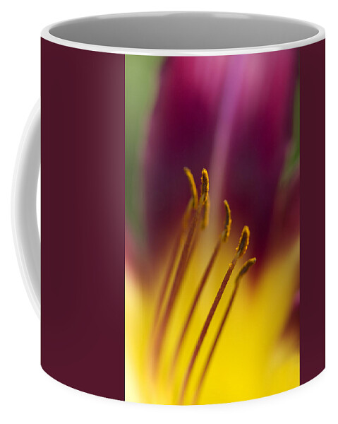 Daylily Coffee Mug featuring the photograph Daylily Abstract by Kathy Clark