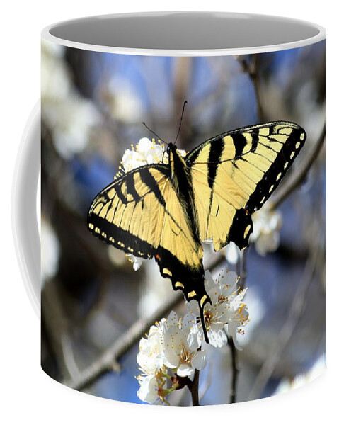 Nature Coffee Mug featuring the photograph De-tailed Swallowtail by Sheila Brown