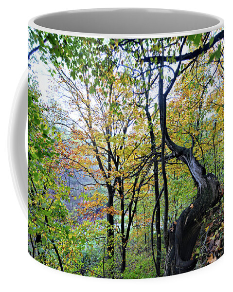 Echo Valley State Park Coffee Mug featuring the photograph Dead Of Autumn by Bonfire Photography