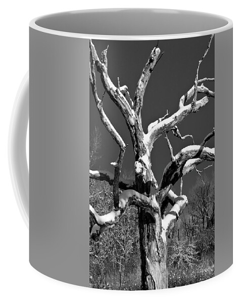 Tree Coffee Mug featuring the photograph Dead Tree - UW Arboretum - Madison - WI by Steven Ralser