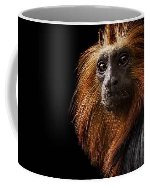 Golden Coffee Mug featuring the photograph Debonair by Paul Neville