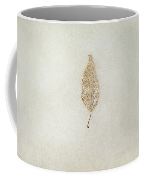 Leaf Coffee Mug featuring the photograph Decay by Scott Norris