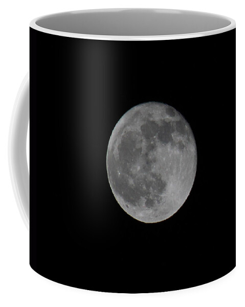Night View Coffee Mug featuring the photograph December Moon by Donna L Munro