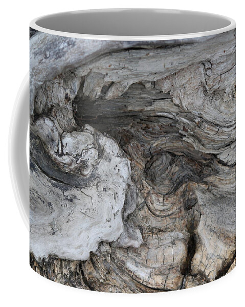 Tidal Coffee Mug featuring the photograph Decomposition - whorled by Annekathrin Hansen