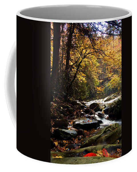 Fall Coffee Mug featuring the photograph Deep Creek Mountain Stream by Bob Decker