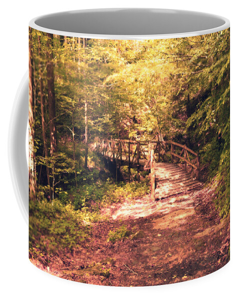 Foot Bridge Coffee Mug featuring the photograph The Enchanted Bridge by Stacie Siemsen
