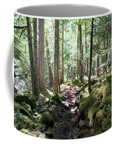 Forest Coffee Mug featuring the photograph Deep in the Oregon Forest by Merle Grenz