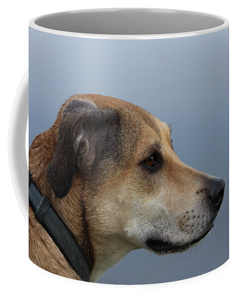 Dogs Coffee Mug featuring the photograph Deep In Thought by Tim Kuret