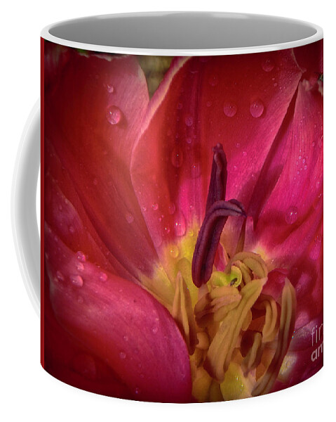 Tulip Coffee Mug featuring the photograph Deep Within by Judy Hall-Folde