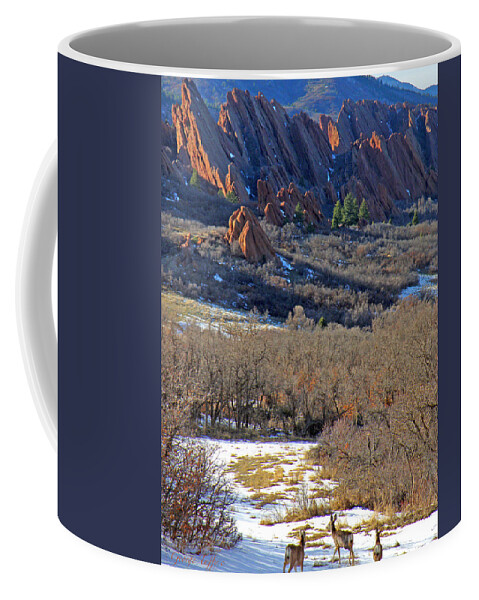 Deer Animals Wildlife Nature Roxborough State Park Colorado Winter Evening Light Rocky Mountains Coffee Mug featuring the photograph Deer at Roxborough by George Tuffy