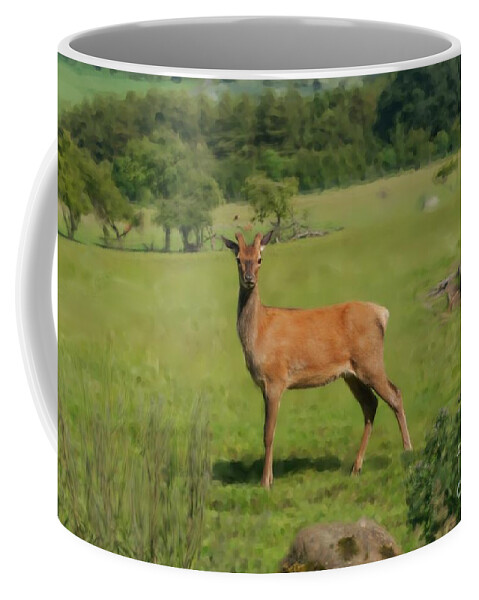Red Deer Coffee Mug featuring the photograph Deer calf. by Elena Perelman