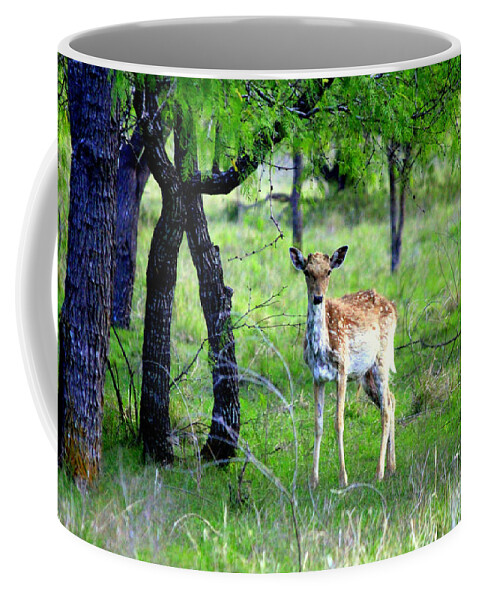 Deer Coffee Mug featuring the photograph Deer Curiosity by Kathy White
