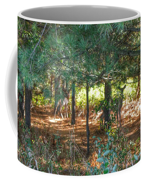 Deer Coffee Mug featuring the photograph 1011 - Deer of Croswell I by Sheryl L Sutter