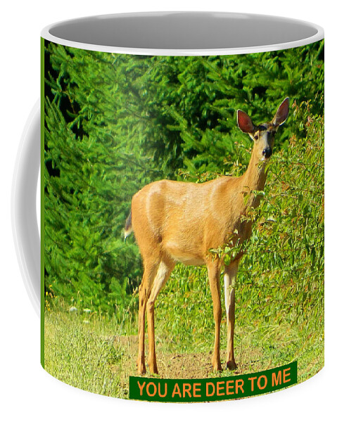 Deer Coffee Mug featuring the photograph Deer To Me by Gallery Of Hope 