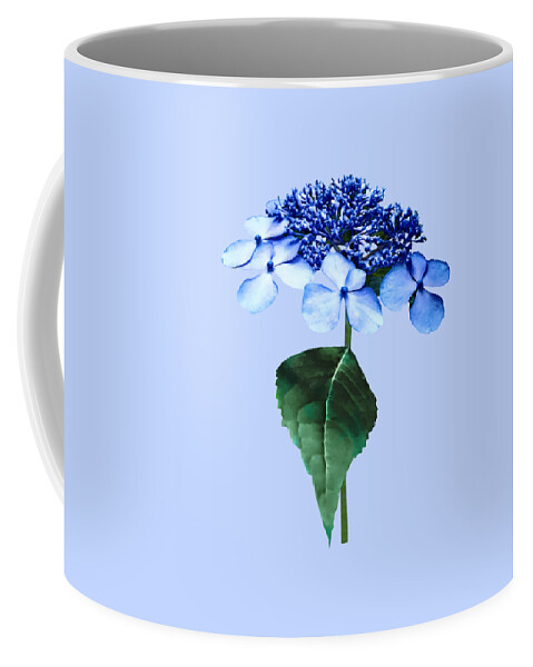 Hydrangea Coffee Mug featuring the photograph Delicate Blue Lacecap Hydrangea by Susan Savad
