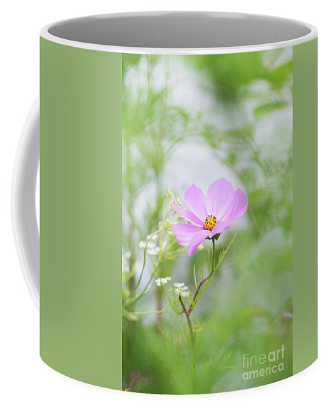 Cosmos Bipinnatus Coffee Mug featuring the photograph Delicate Cosmos by Tim Gainey