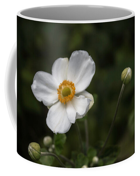 Florals Coffee Mug featuring the photograph Delicate Dance by Arlene Carmel